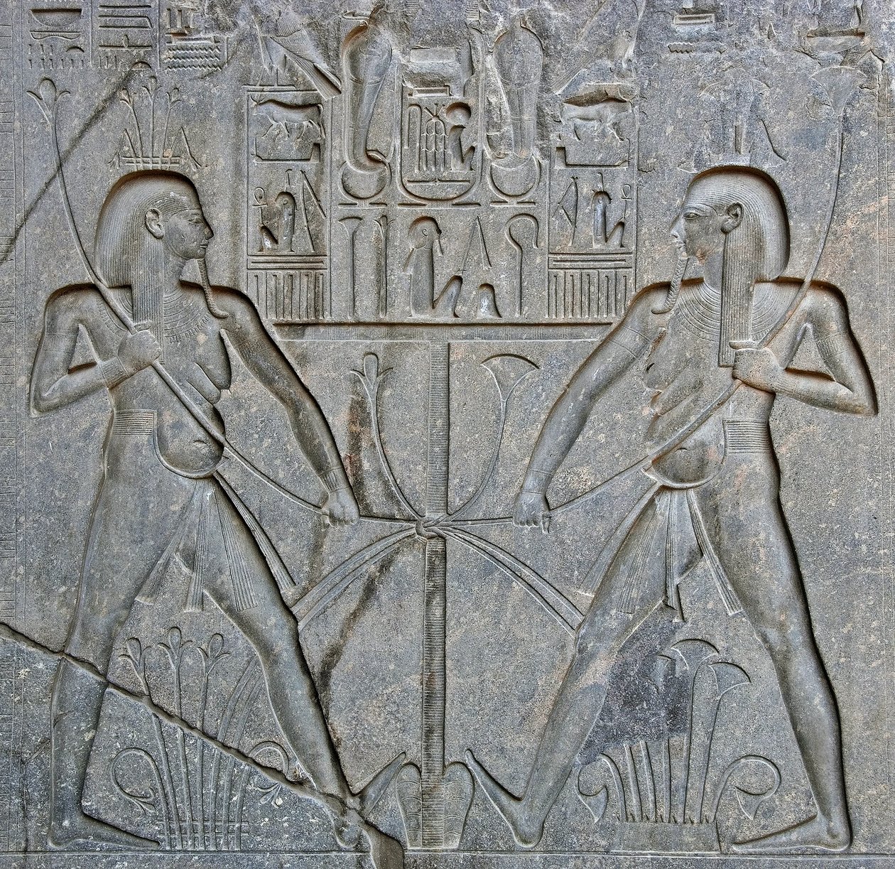 Egyptiläinen antiikki: yksityiskohta Ylä- ja Ala-Egyptin yhdistymistä esittävän farao Ramses II:n (1292-1186 eaa.) patsaan jalustasta. Luxorin temppeli. Itäranta (Thebe), Egypti tekijältä Egyptian 19th Dynasty