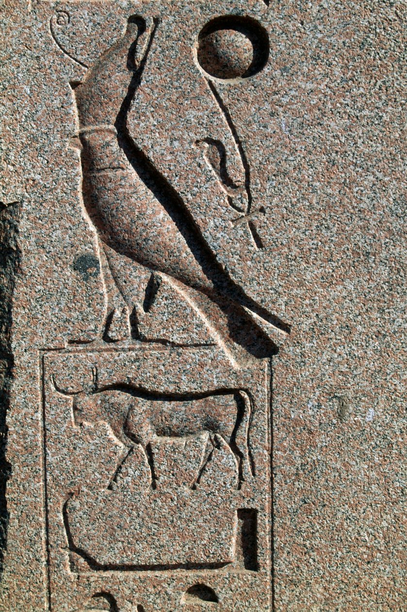Hieroglyfi, jossa Horuksen nimi, Amunin suuri temppeli, Tanis, Egypti, Uusi valtakunta, XIX dynastia tekijältä Egyptian 19th Dynasty