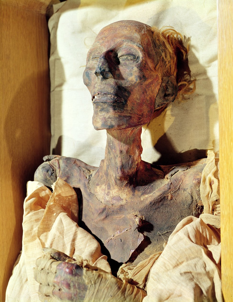 Ramses II:n (1304-1237 eKr.) muumioitunut ruumis löydettiin haudasta Deir al-Bahrista tekijältä Egyptian 19th Dynasty