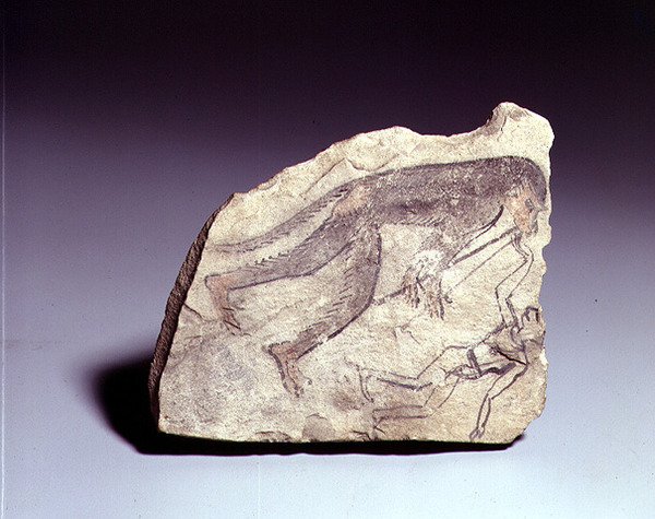 Ostracon, jossa on huilua soittava apina, New Kingdom (maalattu kalkkikivi) tekijältä Egyptian 19th Dynasty