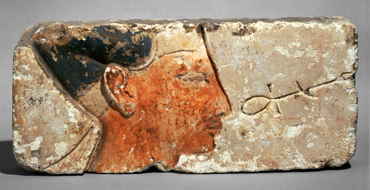 Kuninkaan profiili, luultavasti Ramses II - Faarao Ramses II:n profiili. Maalattu kalkkikivi ... tekijältä Egyptian 19th Dynasty