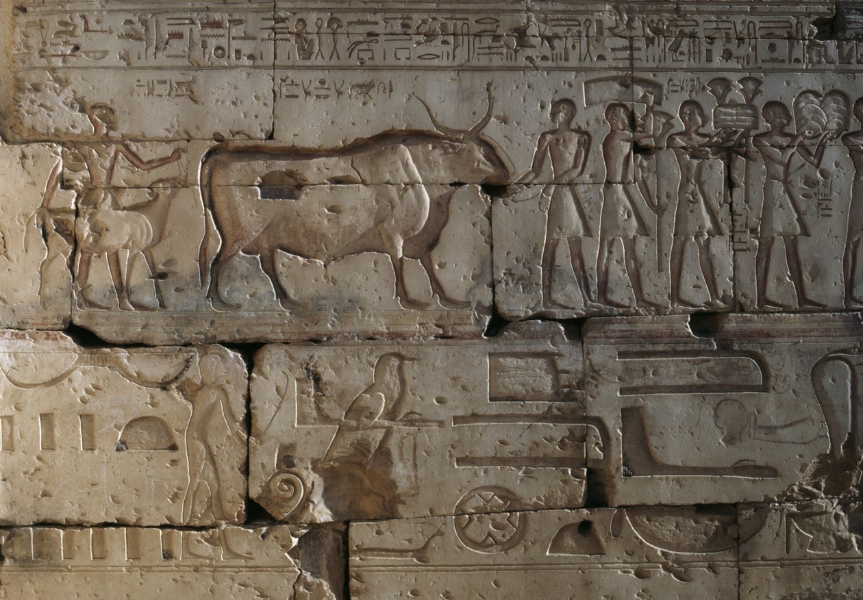 Relief, Ramses II:n temppeli, Abydos, Egypti, Egyptin sivilisaatio, Uusi kuningaskunta, XIX-dynastia (kuva) tekijältä Egyptian 19th Dynasty