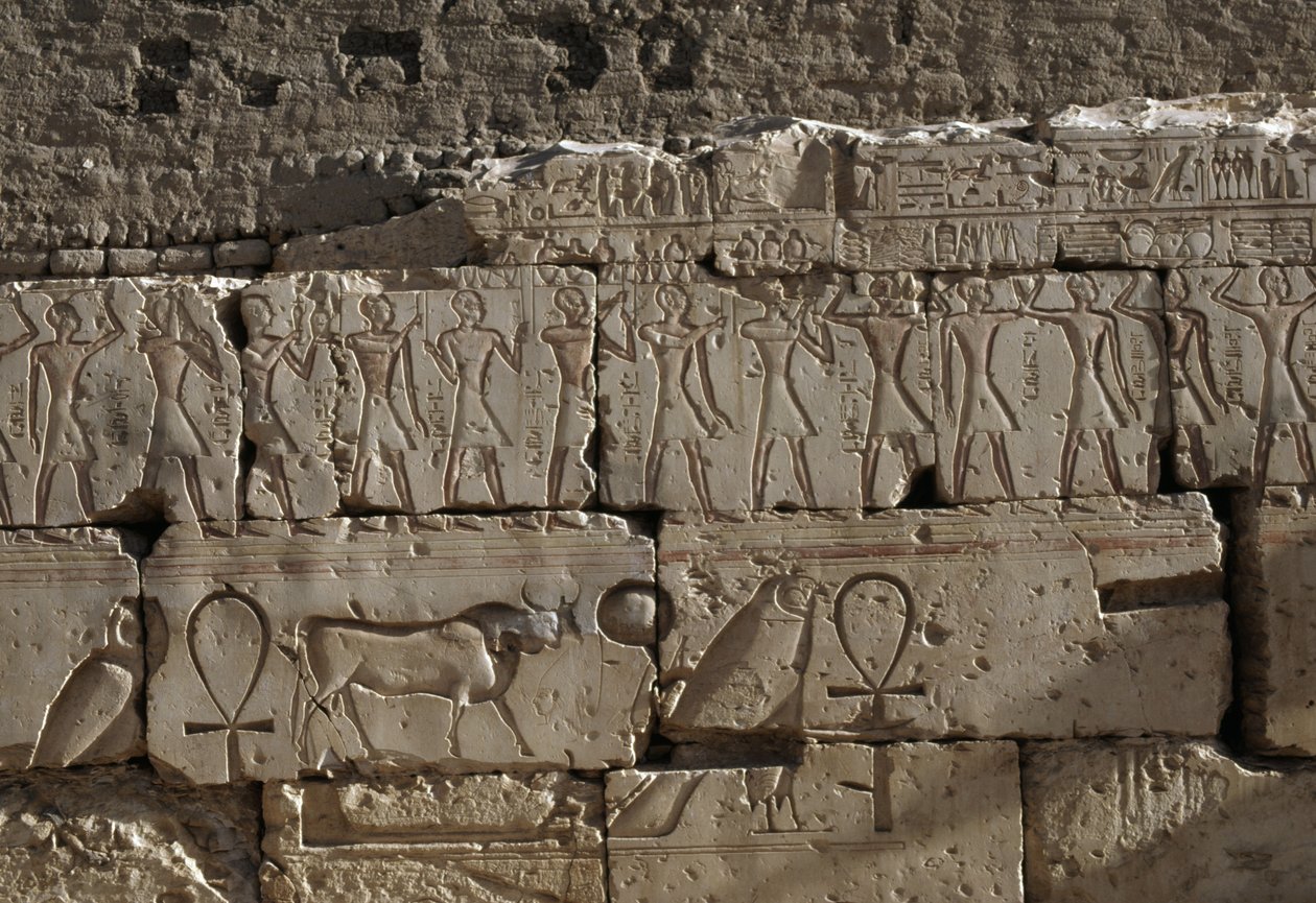 Relief, Ramses II:n temppeli, Abydos, Egypti, Egyptin sivilisaatio, Uusi kuningaskunta, XIX-dynastia (kuva) tekijältä Egyptian 19th Dynasty