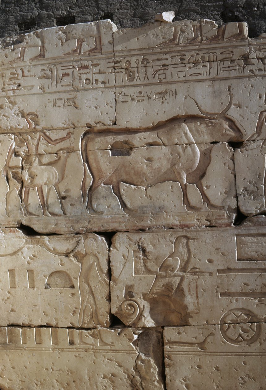 Relief, Ramses II:n temppeli, Abydos, Egypti, Egyptin sivilisaatio, Uusi kuningaskunta, XIX-dynastia (kuva) tekijältä Egyptian 19th Dynasty