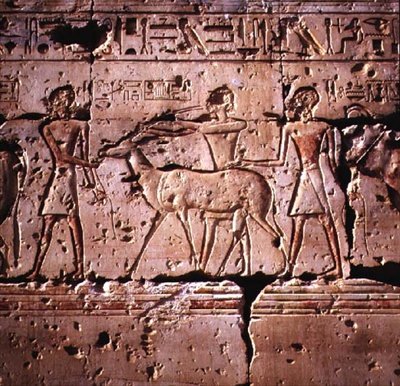 Reliefi kuvasi oryxia johdettuna uhrauskulkueeseen Ramses II:n temppelistä, Uudesta kuningaskunnasta tekijältä Egyptian 19th Dynasty