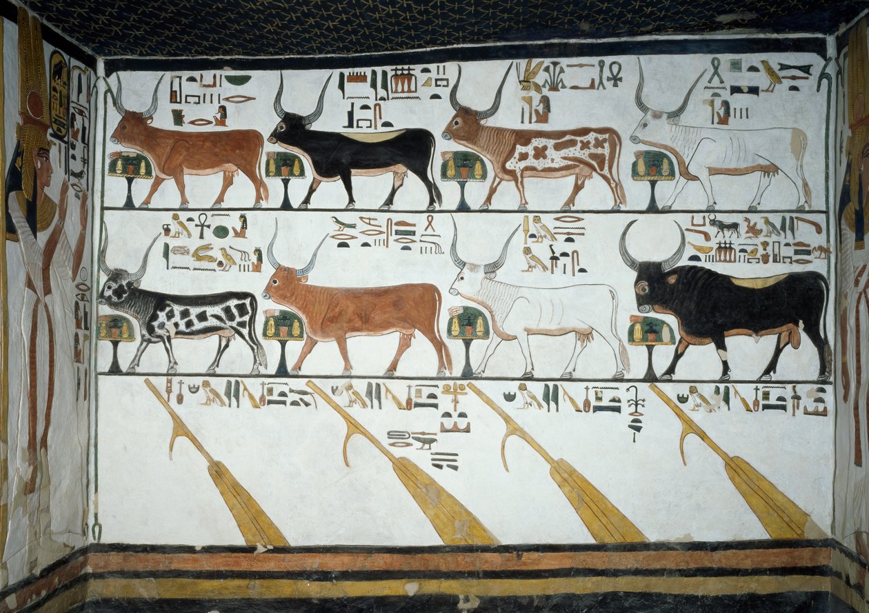 Seitsemän taivaallista lehmää, aviomies ja neljä ohjausairoa, Book of Deadin luku 148, yksityiskohta freskoista Nefertarin haudan toisessa kammiossa Queensin laaksossa Luxorissa Thebesissa. Egyptin sivilisaatio, Uusi kuningaskunta, dynastia XIX. tekijältä Egyptian 19th Dynasty