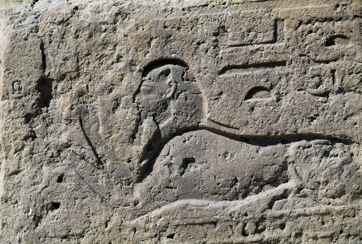 Sfinksi, lohko, jossa reliefi, Amunin suuri temppeli, Tanis, Egypti, Uusi valtakunta, XIX dynastia tekijältä Egyptian 19th Dynasty