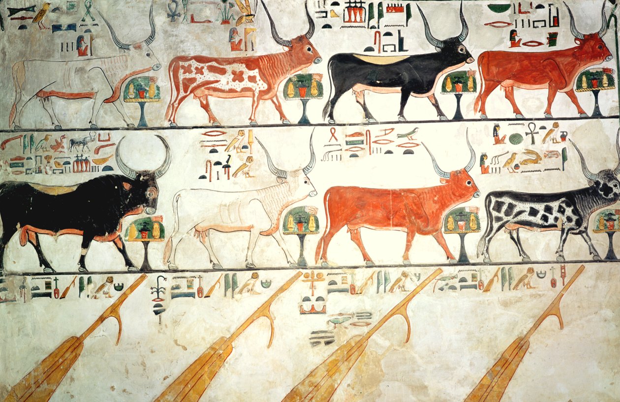 Seitsemän taivaallista lehmää ja pyhä härkä ja taivaan neljä peräsintä Nefertarin haudalta, Uusi kuningaskunta (seinämaalaus) tekijältä Egyptian 19th Dynasty
