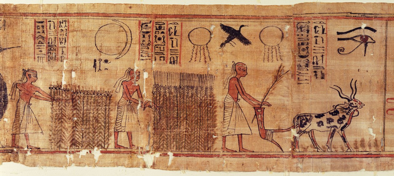 Neb-Hepetin kuolleiden kirja, kenttien yksityiskohdat tekijältä Egyptian 21st Dynasty