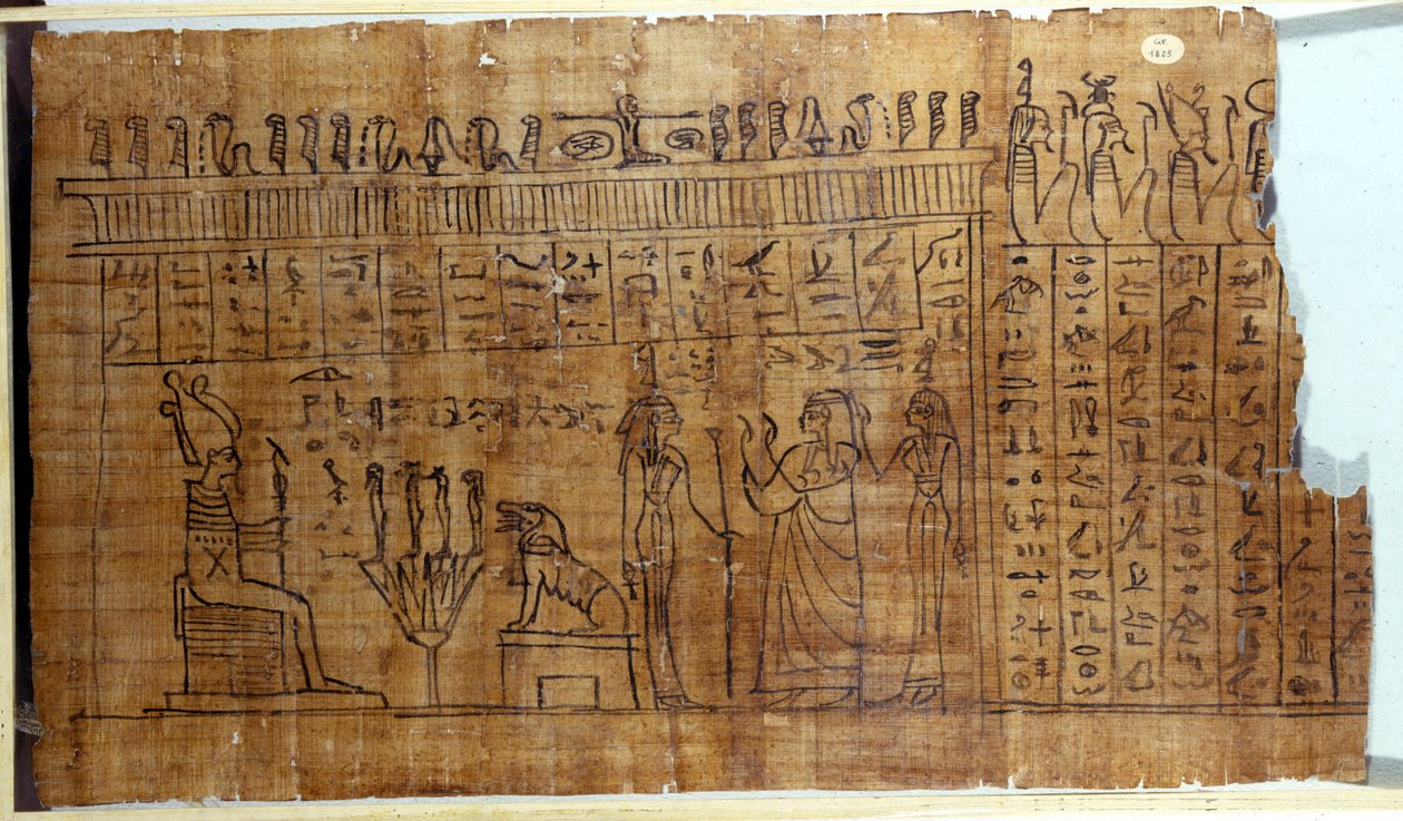 Kuolleiden kirja: egyptiläinen hieroglyfi 22. dynastian papyruksella. 9. vuosisadalla eaa. Torino, Egyptiläinen museo. tekijältä Egyptian 22nd Dynasty