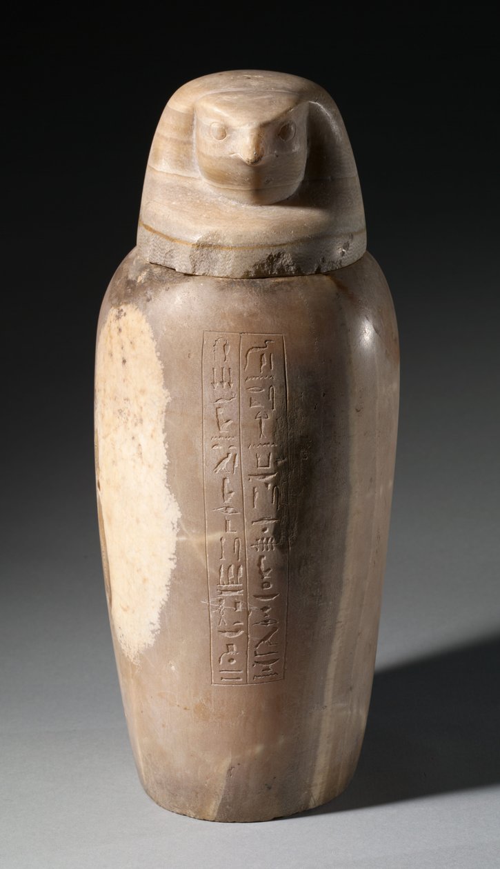 Canopic Jar Falconin päällä, 664-525 eaa tekijältä Egyptian 26th Dynasty