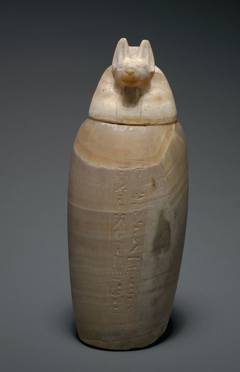 Canopic Jar Jackalin päällä, 664-525 eKr tekijältä Egyptian 26th Dynasty