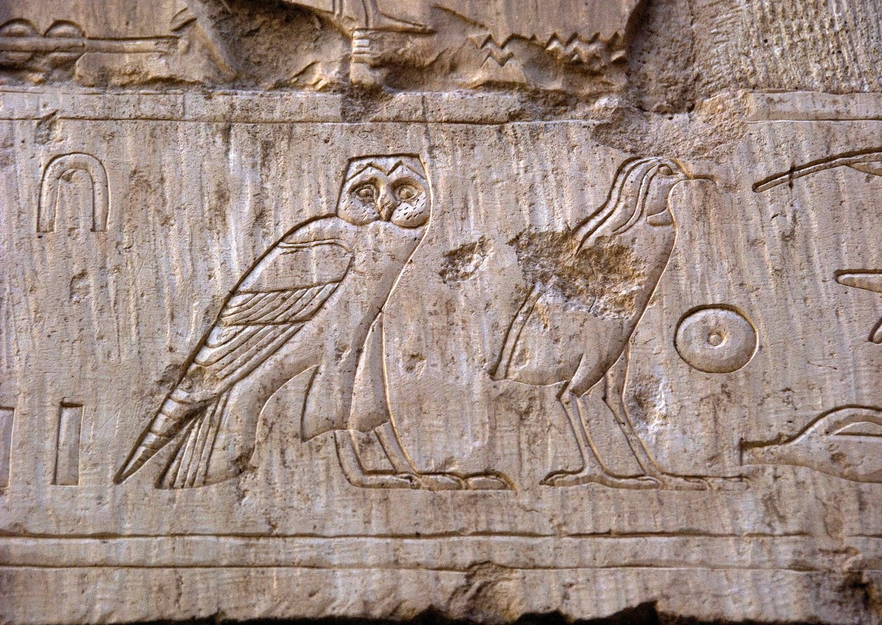 Egyptiläinen antiikki: pöllöä ja kotkaa edustava reliefi. Ankh-Horin hauta (Ankh Hor) (TT414) (26. dynastia, 672-525 eKr.), Luxor (Thebes), Egypti tekijältä Egyptian 26th Dynasty