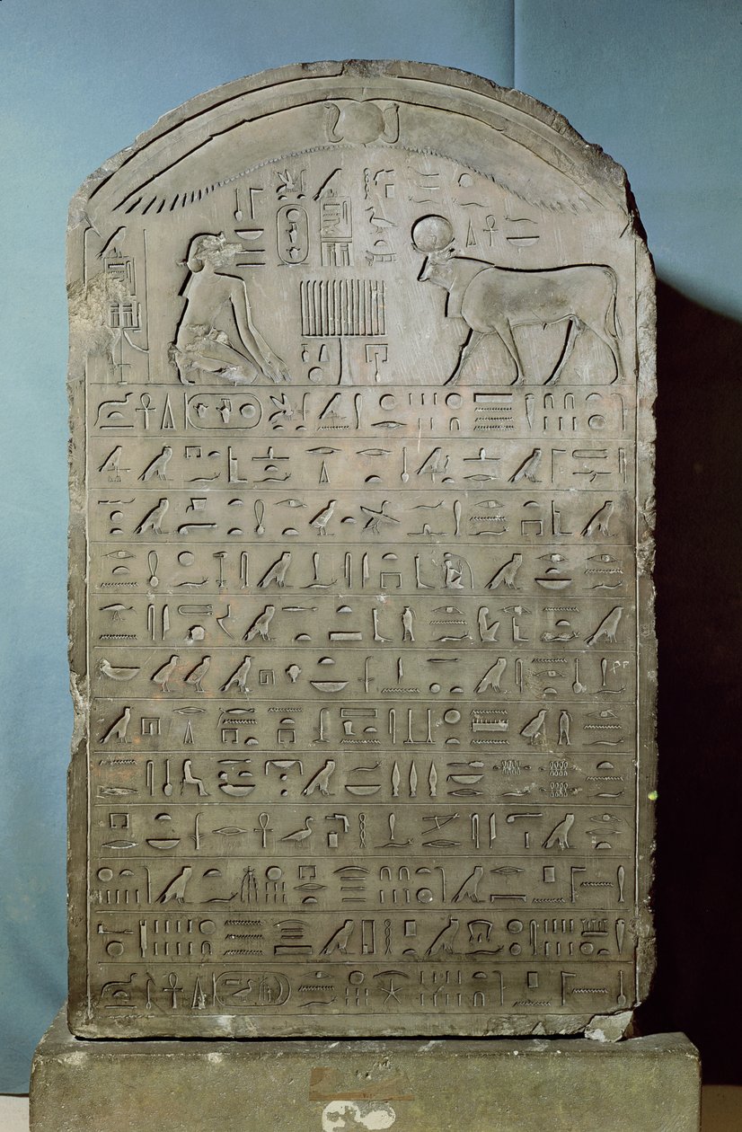 Stela, joka muistelee Apis-härän hautaamista Ahmose II:n (Amasis) hallituskauden aikana Saqqaran Serapeumista, myöhään 547 eKr. (kalkkikivi) tekijältä Egyptian 26th Dynasty