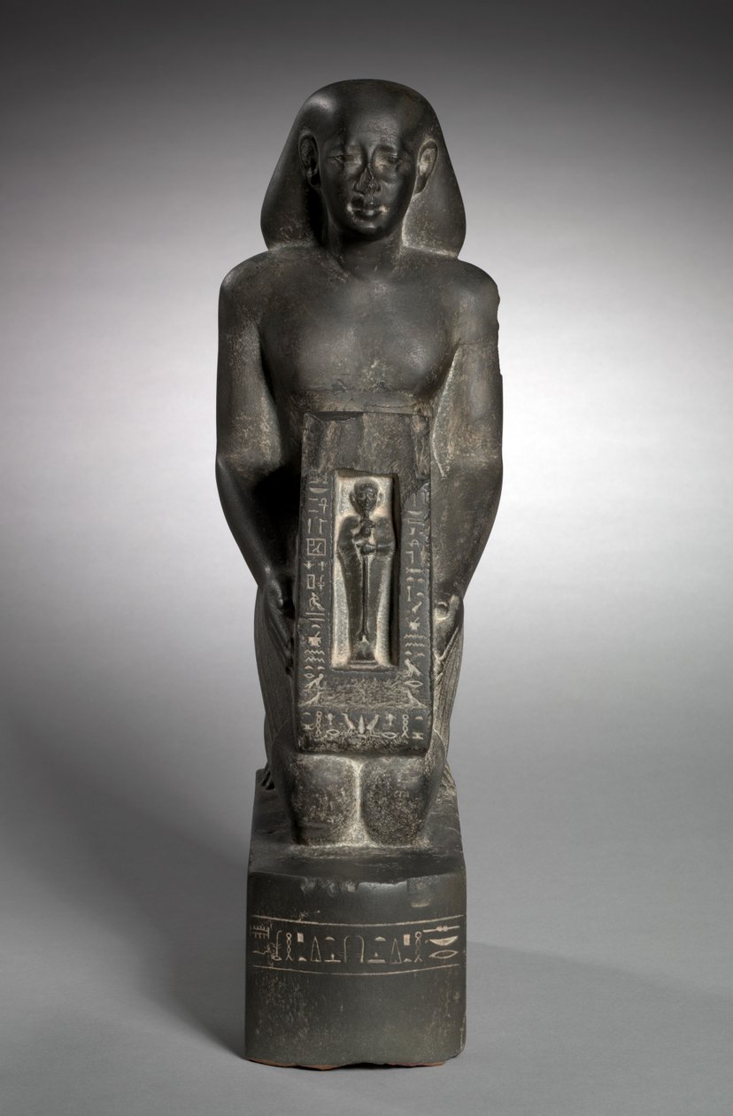 Naoforinen talousvirkailijan ja kenttien valvojan patsas, Horwedja, 521-486 eaa. tekijältä Egyptian 27th Dynasty