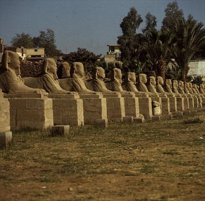 Avenue of Sphinxes, lisäsi Nectanebo I (380-362 eKr.) myöhäinen ajanjakso tekijältä Egyptian 30th Dynasty