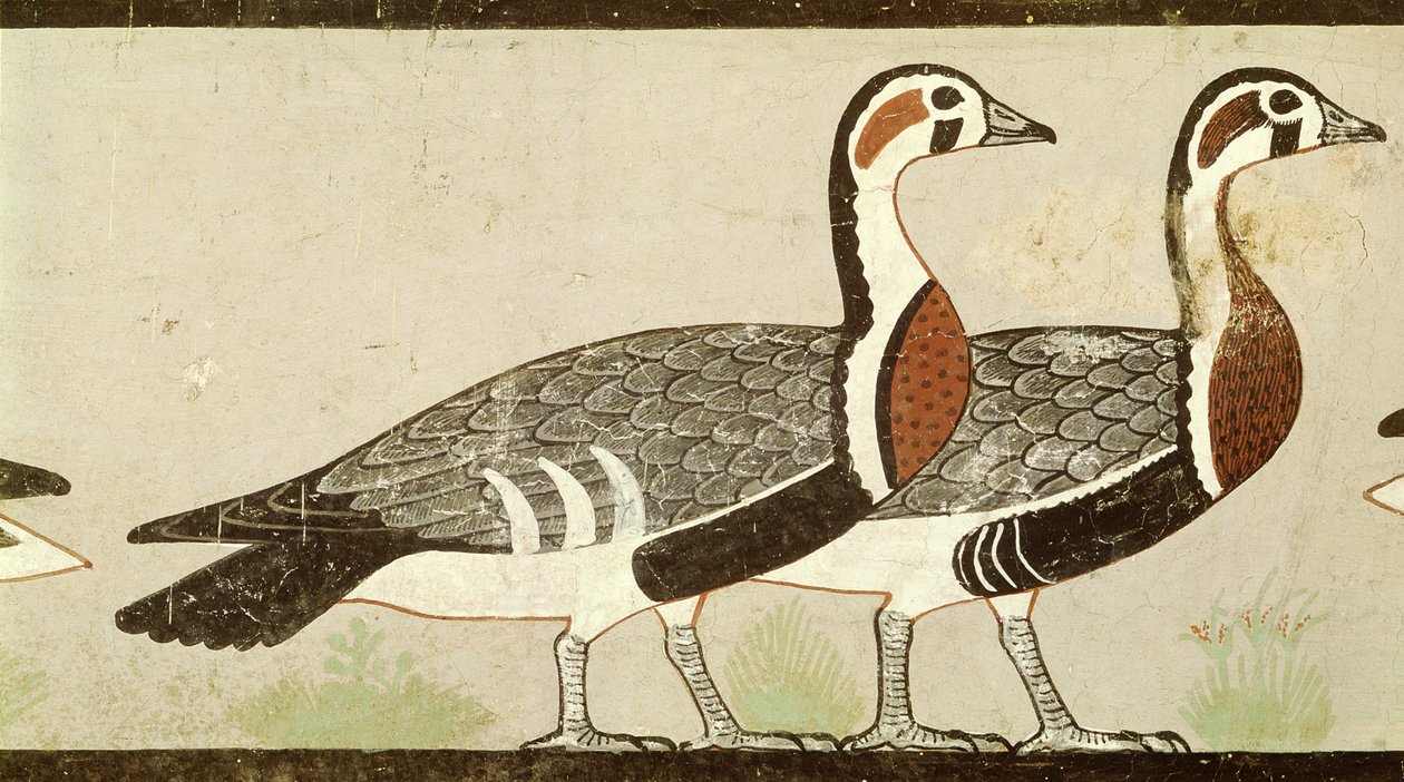 Meidum hanhet, Nefermaatin ja Atetin haudasta, vanhasta kuningaskunnasta, n. 2620 eKr. (maalattu stukko) tekijältä Egyptian 4th Dynasty