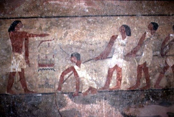 Maalaus kalastajista, jotka nostavat verkkoja Khnumhotep II:n haudassa, Vanha kuningaskunta, 2600-1500 eKr. (seinämaalaus) tekijältä Egyptian 4th Dynasty