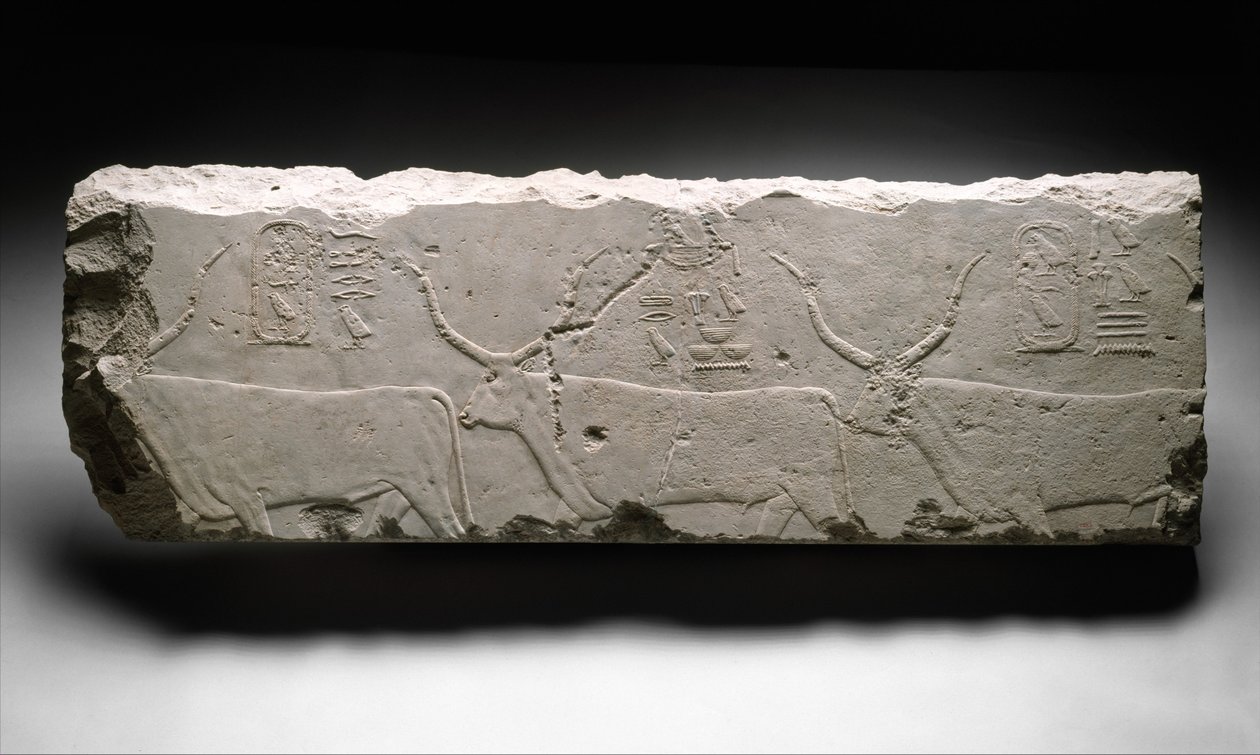 Reliefin katkelma, jossa kuningas Khufusin karja, noin 2535 (kalkkikivi). tekijältä Egyptian 4th Dynasty