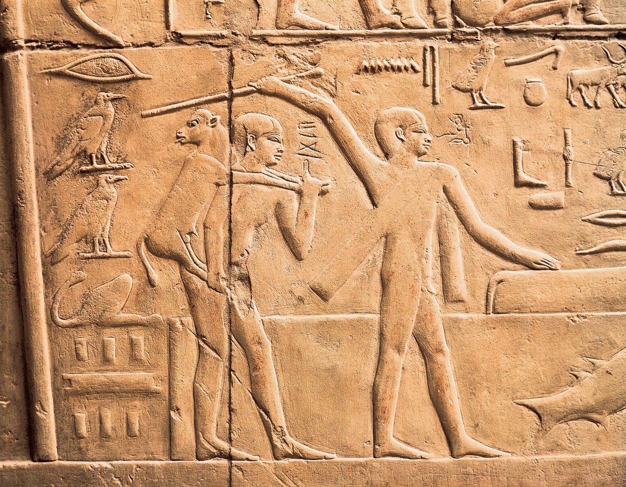 Maatilatyön kohtauksia, yksityiskohtia tekijältä Egyptian 4th Dynasty