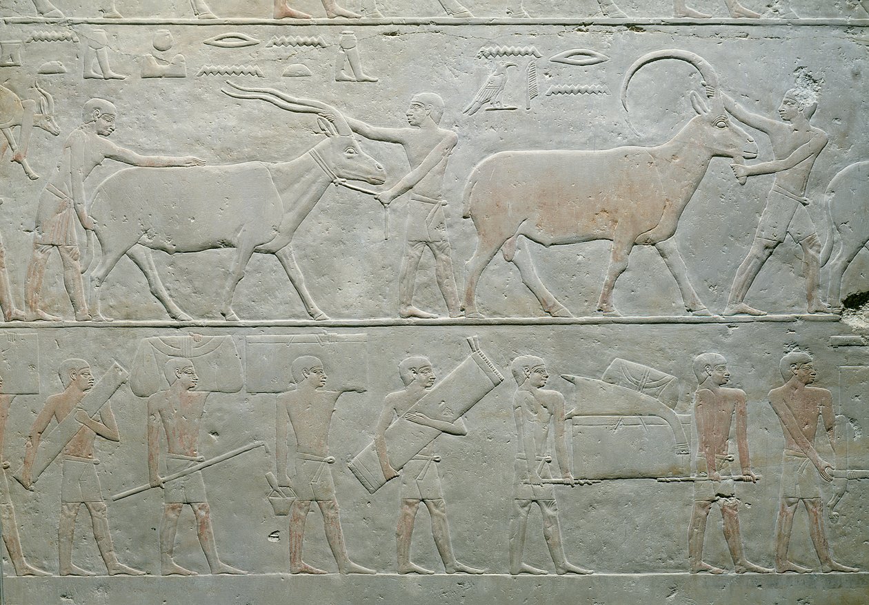 Oryksia ja antilooppia ajavat palvelijat ja muut matkatavaroita kuljettavat Mastaba of Akhethotep, Saqqara, Old Kingdom, noin 2400 eKr. (maalattu kalkkikivi) tekijältä Egyptian 5th Dynasty