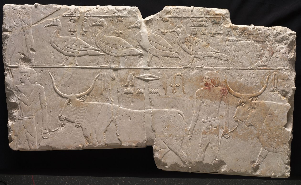 Lintuja ja karjaa tuovien miesten helpotus, n. 2311-2281 eaa. tekijältä Egyptian 6th Dynasty