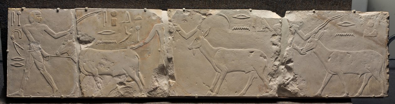 Aavikon eläimiä tuovien miesten helpotus, n. 2311-2281 eKr. tekijältä Egyptian 6th Dynasty