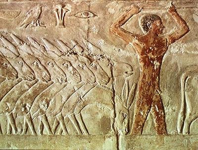 Aasien joukko, Mererukan Mastabasta, Vanhasta kuningaskunnasta (seinämaalaus) tekijältä Egyptian 6th Dynasty Egyptian 6th Dynasty