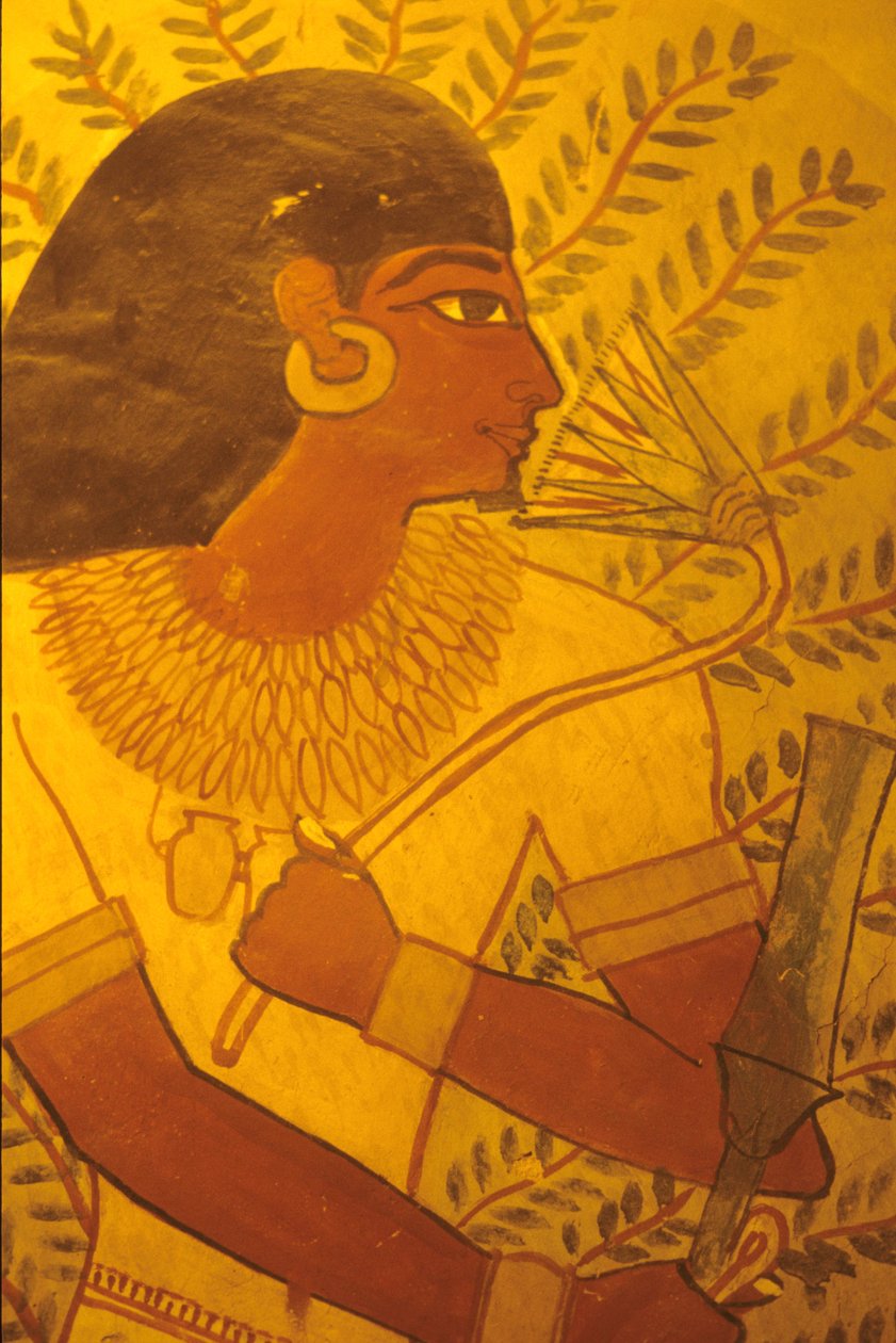 Muinainen Egypti, Sennuferin hauta, Thebes, Luxor, seinämaalaus, seinämaali, fresko, seinämaalaukset tekijältä Egyptian Egyptian