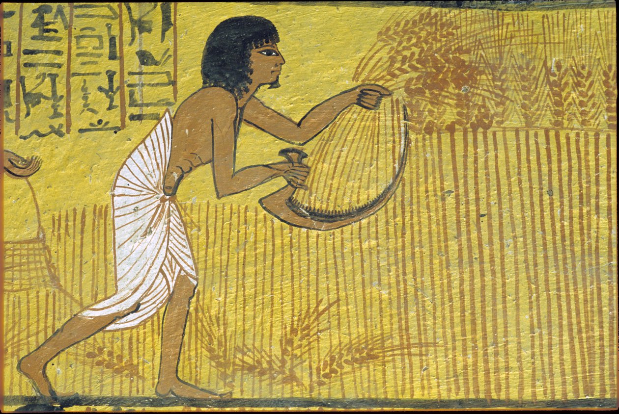 Muinainen Egypti, seinämaalaus, Sennedjemin hauta, Aatelisten hauta, Thebe, Deir el Medina tekijältä Egyptian Egyptian