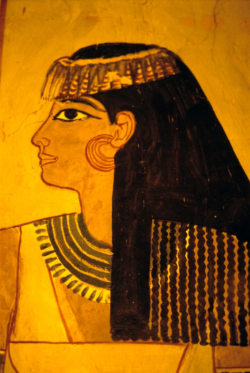 Muinainen Egypti, seinämaalaus, Sennuferin hauta Aatelisten hauta, Thebe tekijältä Egyptian Egyptian