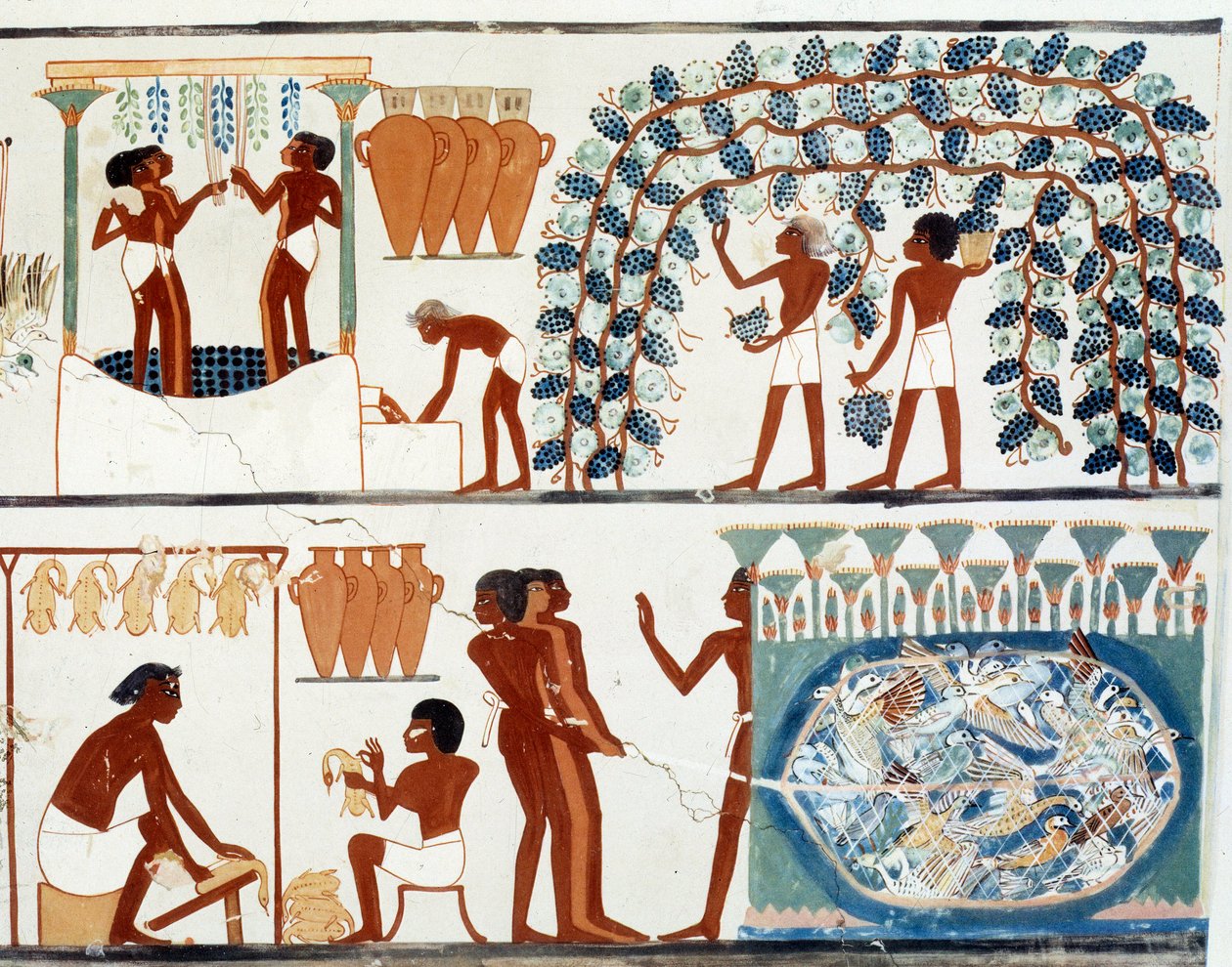 Art Egypt: rypäleiden poiminta ja polku. Simile College of the Tomb of Nakht, Amenophis II:n aikakausi (noin 1450-1425 eKr.) Paris, College De France tekijältä Egyptian Egyptian
