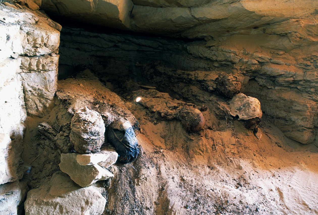 Yksityiskohta haudasta nro 49, kultaisten muumioiden laakso, Bahariya Oasis, Giza, Egypti. Egyptin sivilisaatio tekijältä Egyptian Egyptian