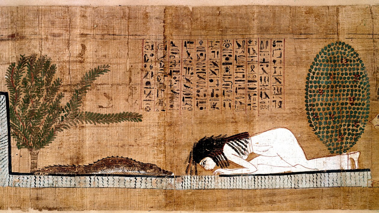 Egyptiläinen antiikin aika: kuollut edustaja, joka palvoi krokotiilia, fekondiitin symbolia. Papyrus kuolleiden kirjasta. Kairo, Egyptiläinen museo - Muinainen Egypti: krokotiilia, hedelmällisyyden symbolia, palvova kuollut. Kuolleiden kirjan papyrus. tekijältä Egyptian Egyptian