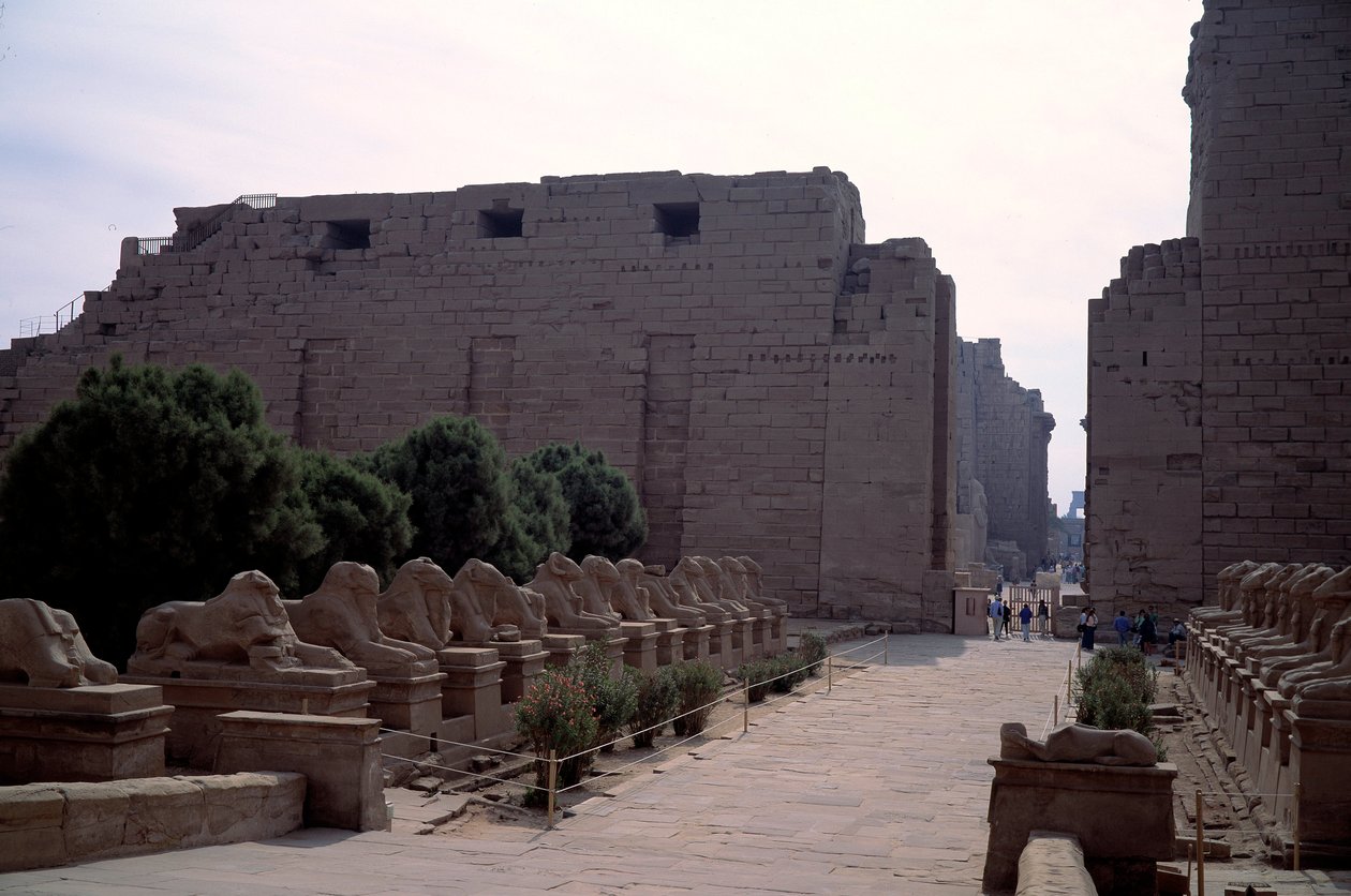 Egyptiläinen antiikki: Criosphinxin allee (dromos) (Sfinksi uskovien kärjessä) Karnakissa, Luxorissa, Egyptissä tekijältä Egyptian Egyptian