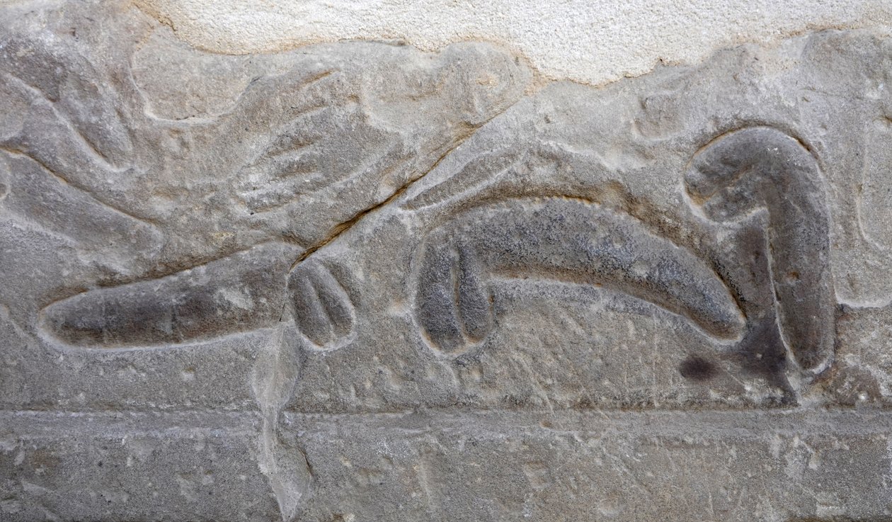 Vihollisen leikkaamia miesten sukupuolielimiä, Horuksen temppeli, Edfu. tekijältä Egyptian Egyptian