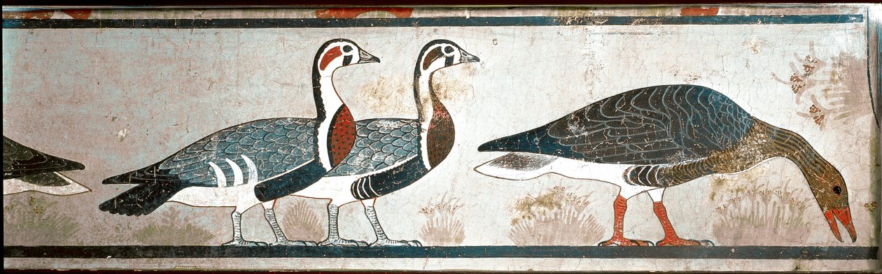 Hanhet, yksityiskohta paneelista Mastaba of Itet, Nefermaatin vaimo Meidoum (maalattu kalkkikivi) tekijältä Egyptian Egyptian