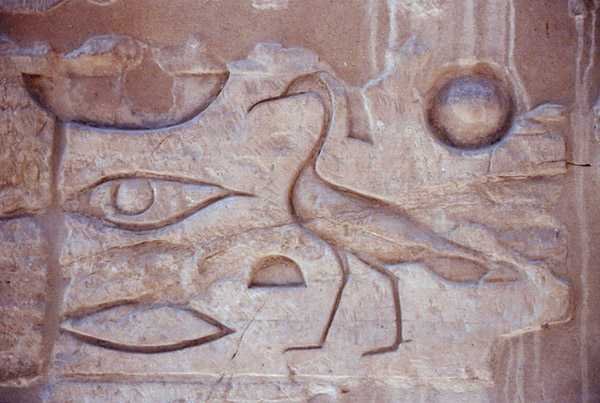 Hieroglyfit pylväästä, Luxorin temppeli (kuva) tekijältä Egyptian Egyptian