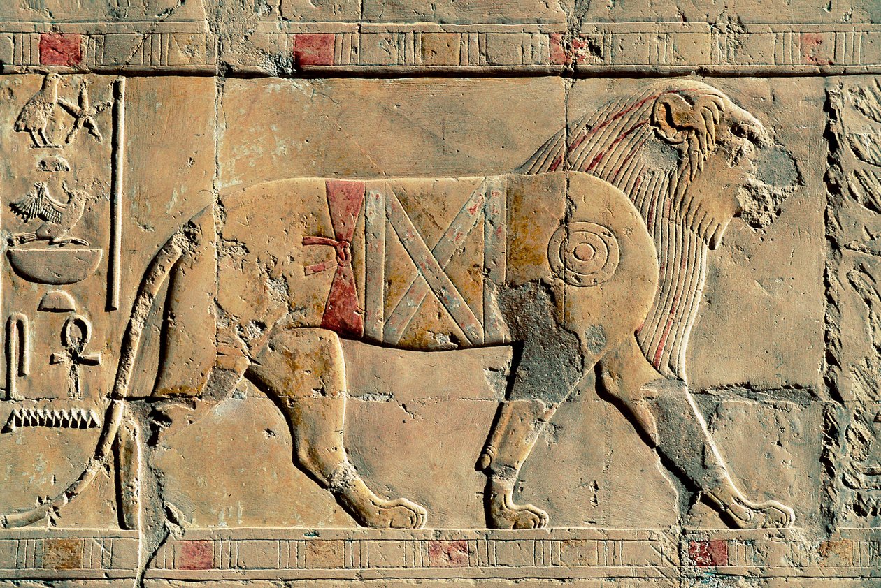Leijona, Senenmut, Hatshepsutin temppeli, Dayr al-Bahri, Egypti tekijältä Egyptian Egyptian