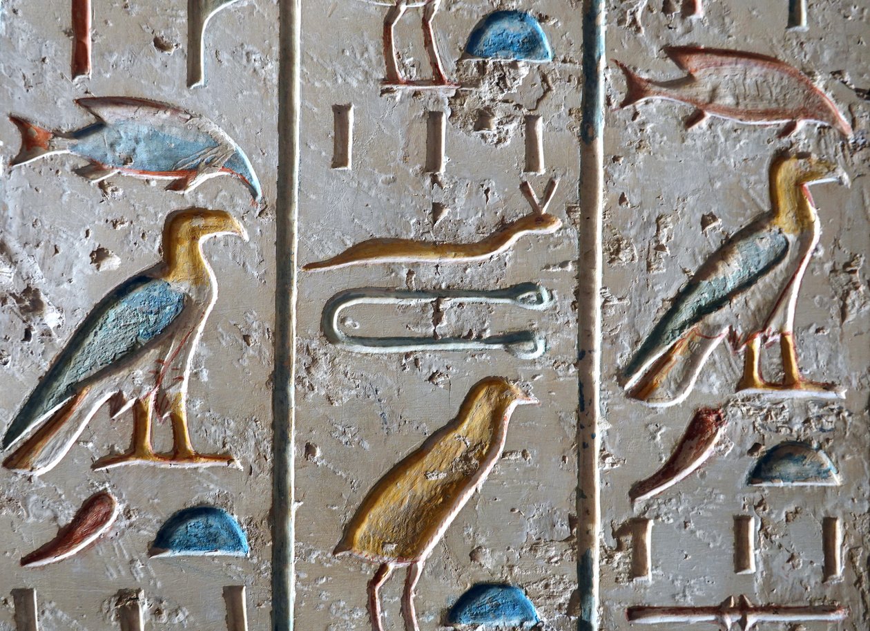 Ramses IX:n hauta, Kuninkaiden laakso, Luxorissa. tekijältä Egyptian Egyptian