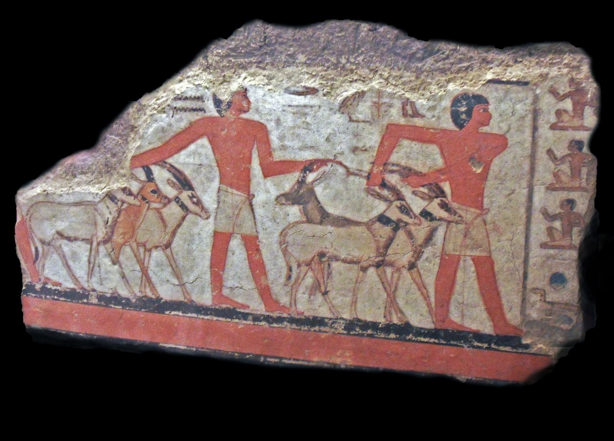 aavikolla (oryx, gasellit) tuodaan Metchetchin eteen. Muinaisen Egyptin seinämaalaus tekijältä Egyptian Egyptian
