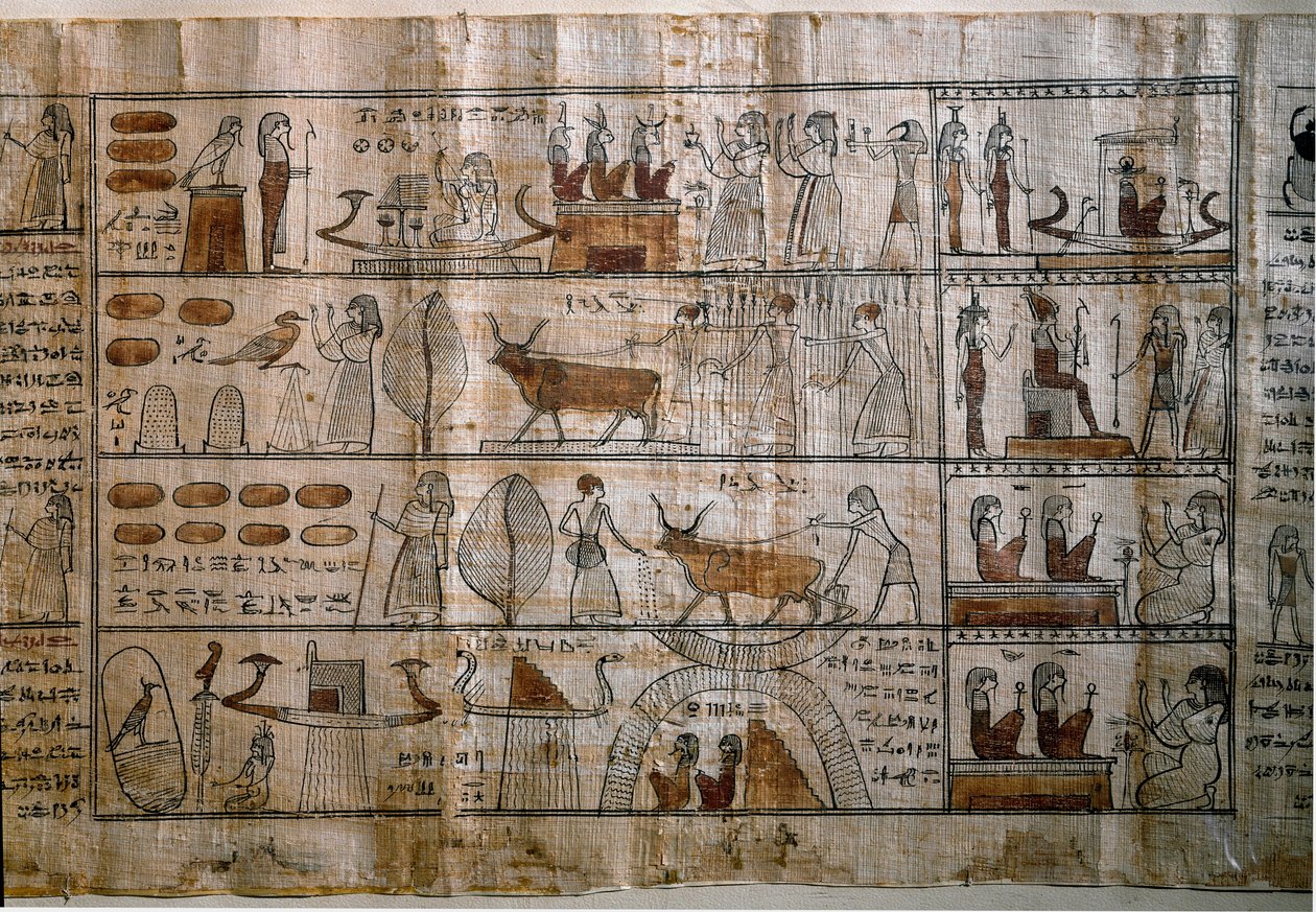 Egyptin antiquit: Elysee Fields. Kuolleiden kirjan papyrus. Ptolemaioksen aikakausi. Torino, egyptiläinen museo tekijältä Egyptian Ptolemaic Period