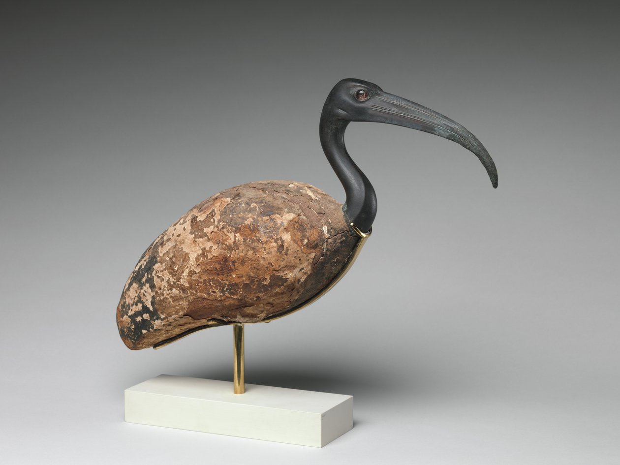 Ibis (maalattu puu ja pronssi, lasisilmät) tekijältä Egyptian Ptolemaic Period