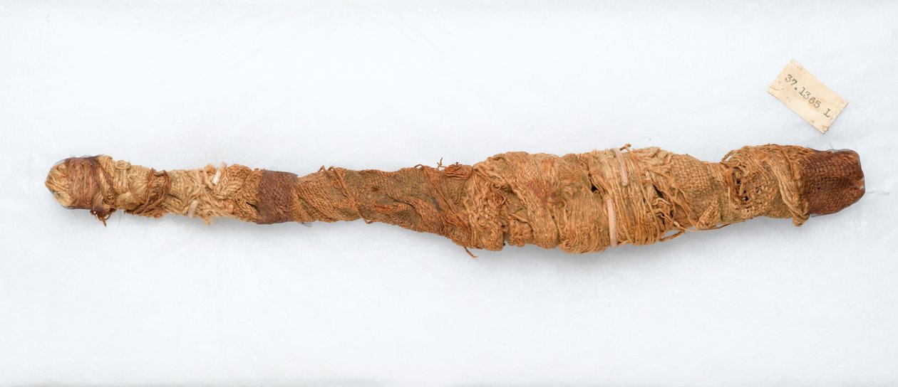 Krokotiilin muumio, löydetty Manfalontista, 305-30 eKr. (eläinjäännökset ja pellava) tekijältä Egyptian Ptolemaic Period