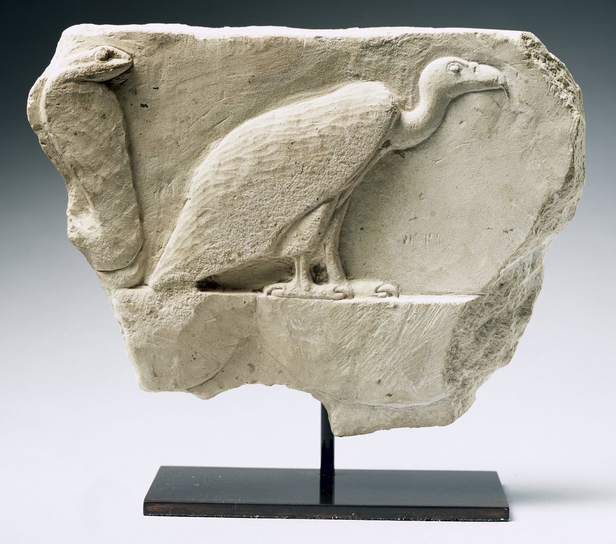 Reliefi, joka kuvaa korppikotkaa ja kobraa (kalkkikivi) tekijältä Egyptian Ptolemaic Period