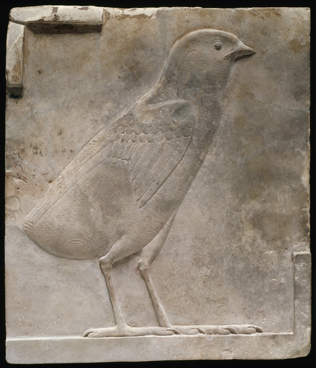 Poikasta kuvaava kohokuviolaatta, n. 330-305 eaa tekijältä Egyptian Ptolemaic Period