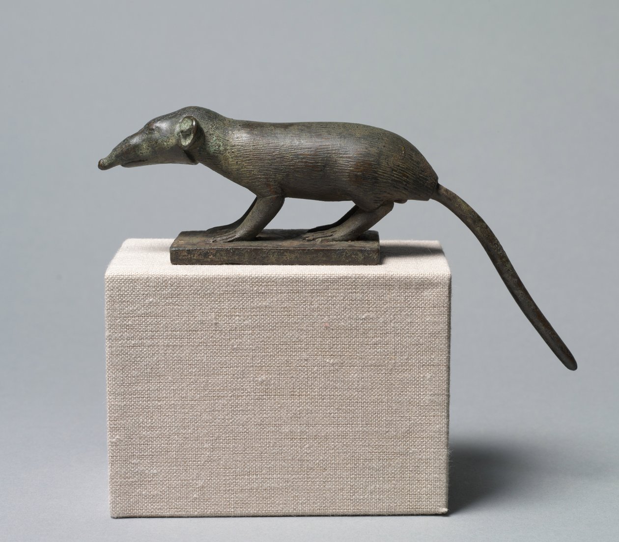 Shrrew, 305-30 eKr tekijältä Egyptian Ptolemaic Period
