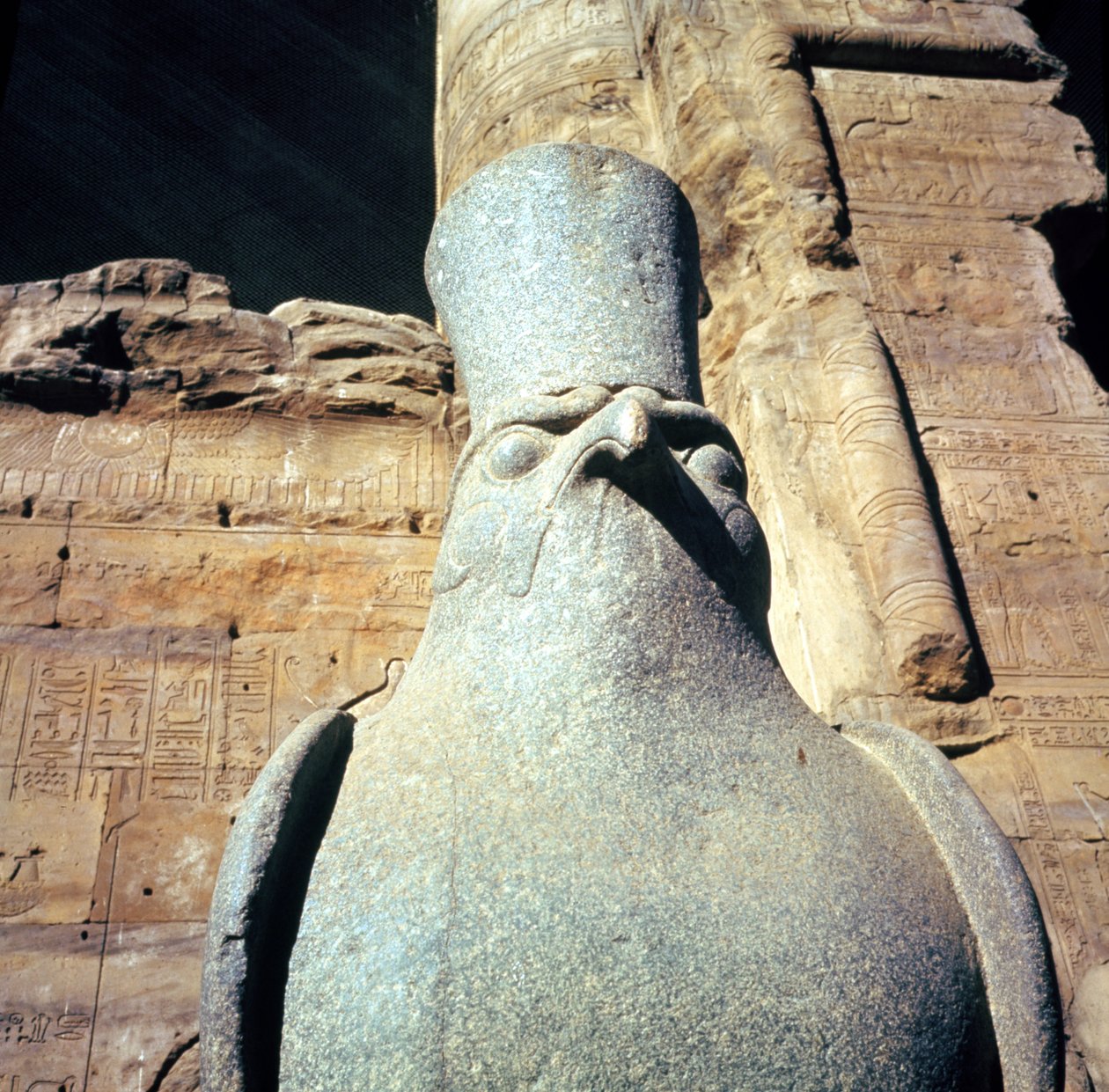 Horuksen patsas Horuksen temppelin uhrien hovissa (yksityiskohta) tekijältä Egyptian Ptolemaic Period