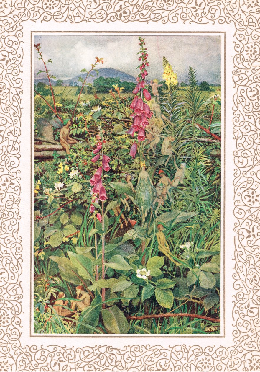 Naues Fairies among Foxgloves, kuvitus Alfred Tennysonin (1809-92) "Idylls of the King" -julkaisusta, julkaisija Hodder & Stoughton tekijältä Eleanor Fortescue Brickdale
