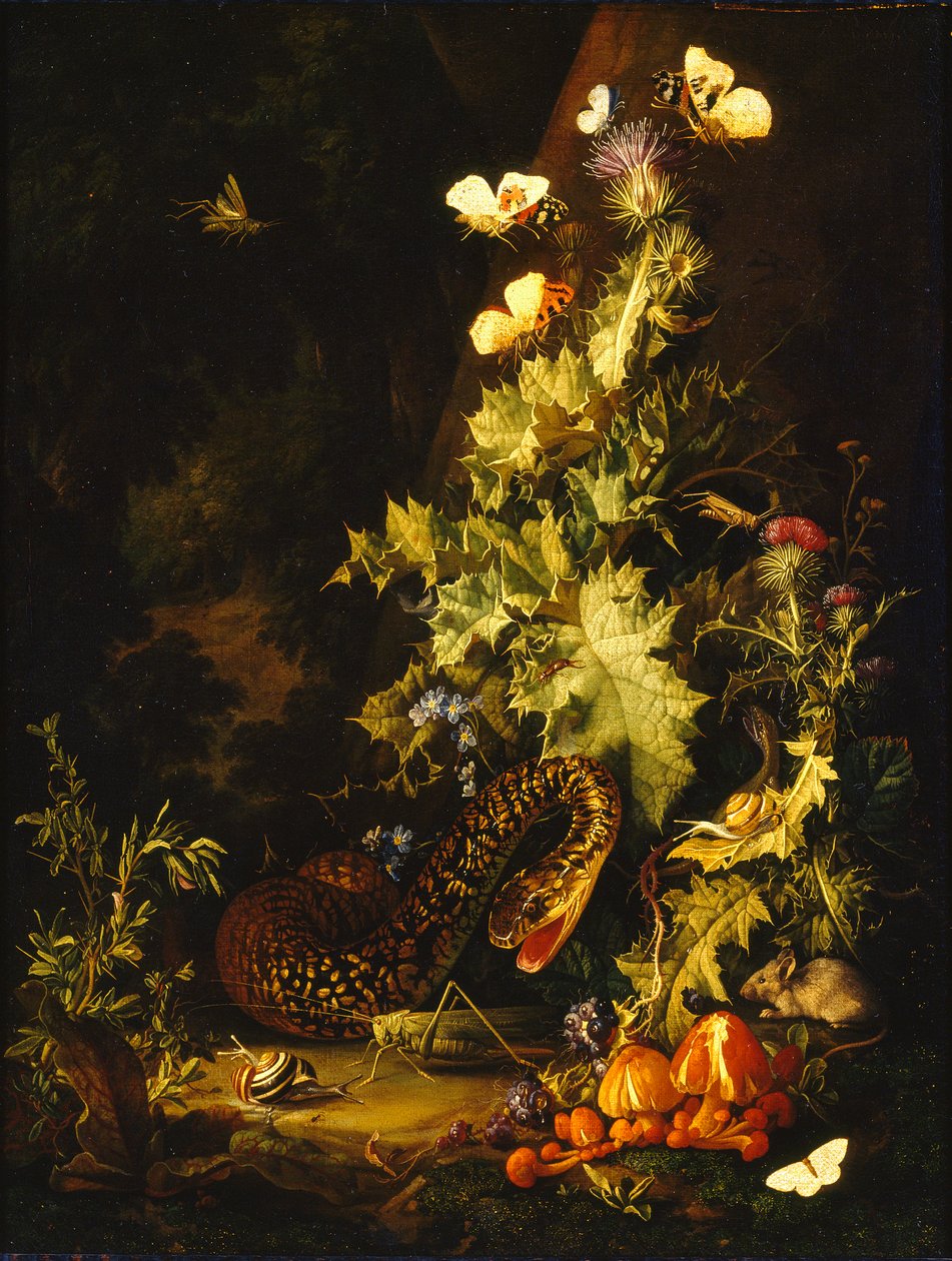 Asetelma käärmeen kanssa, 1700-luvun alku tekijältä Elias van den Broeck
